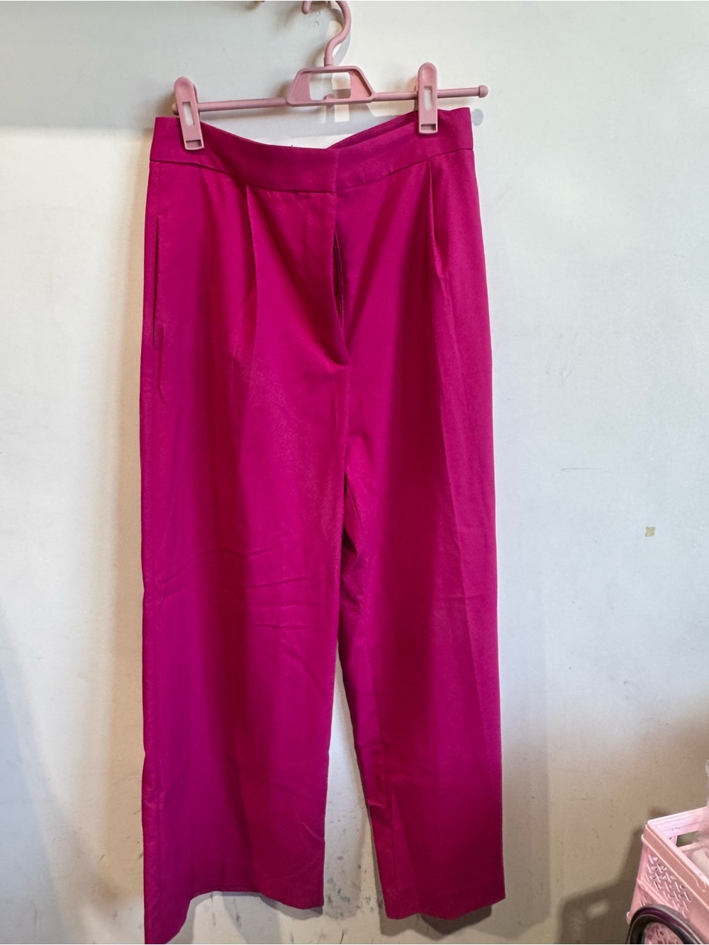 Zara Pink Pants